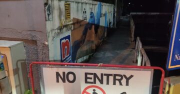 Kata graffiti 1: длинная стена с рыбой, белками и граффити, спрятанными под лианами — где найти все рисунки и правда ли стена исчезла
