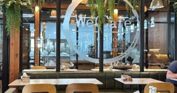 Мы проверили WeCafe Chaofa для семей: расширенная парковка, огромные порции и сборные салаты, которые уговорят даже самых привередливых детей