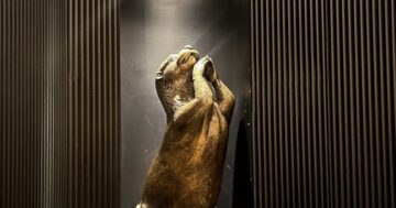 Otter in the rain в Пхукете: блестящий сервис и шеф‑стол на пару с сюрпризами, но за высокими оценками прячутся крошечные порции и жалкие наливки, о чём молчат туристы