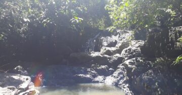Ton Ao Yon Waterfall в Пхукете: тихий пятиуровневый джунглевый оазис для купания и уединения, но без связи и с дикой фауной — что взять с собой