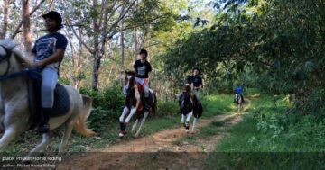 Phuket Horse Riding в Пхукете — лучшая школа для начинающих: добрые инструкторы, быстрый рост уверенности новичков, рекомендовано гостями