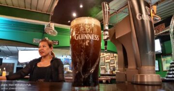 Mad Mohally’s Pub в Таиланде: где найти лучший гиннесс за 250 бат, уют с котиками и истории владельца для настоящих ценителей