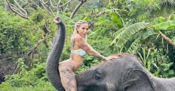 Elephant Camp Phuket,Thailand ปางช้างภูเก็ตช้างไทย — семейный близкий опыт общения со слонами в Пхукете с дружелюбным персоналом и видимым уходом
