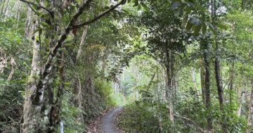 Bang Wan Waterfall — дикая, малолюдная четырёхуровневая жемчужина для смелых фотографов и любителей уединения: будьте готовы к скользким тропам и осторожности