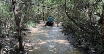 Phuket ATV Tour — джунглевое грязевое приключение с гибким уровнем сложности и опытными гидами, идеальное для уверенных новичков
