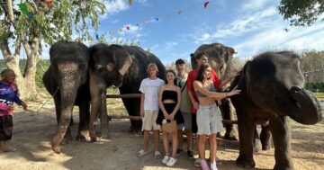 Почему Elephant Benyaran Safari на Пхукете называют образцовым этичным приютом для слонов: близкие встречи, кормление, купание и забота