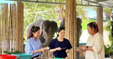 Elephant Seanery в Пхукете — семейное укрытие с близким общением с заботливыми слонами, кормление, купание и аутентичная готовка Пад Тай