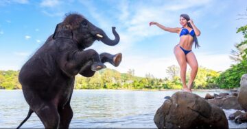 Tri Trang Beach: утренний секрет спокойствия и прозрачной воды — естественная тень, риф гасит волны, нет лежаков, купание со слоном