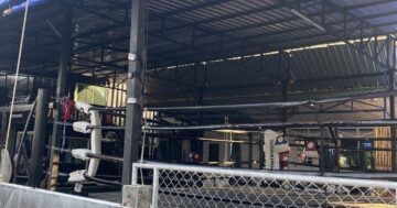 Powerhouse Phuket — где бойцы возвращаются: интенсивный Muay Thai, опытные тренеры и поединки, зал открыт по будням и в субботу
