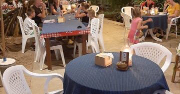 Почему Ya- Nui Restaurant продолжает привлекать толпы несмотря на дорогие блюда и небрежный сервис: мой алгоритм обнаружил скрытую причину