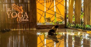 The Yoga Shala & Cafe Rawai в Rawai: почему уроки Джейсона дают реальный прогресс, четыре занятия в день, сад-кафе и выгодный недельный абонемент