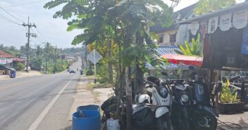 Cap panwa — мастерская для мотороллеров: быстрый масляный сервис, дружелюбный и англоговорящий персонал, которого рекомендуют клиенты