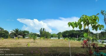 Автосервис по страховым случаям с быстрым и удобным обслуживанием, принимает множество страховых компаний, есть мойка и качественный ремонт